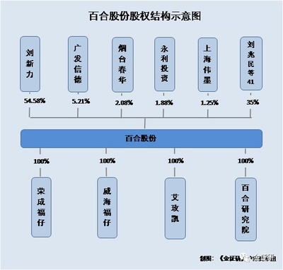 百合股份市占率不足0.4%募投项目经济效益“变脸” 信披似“过家家”